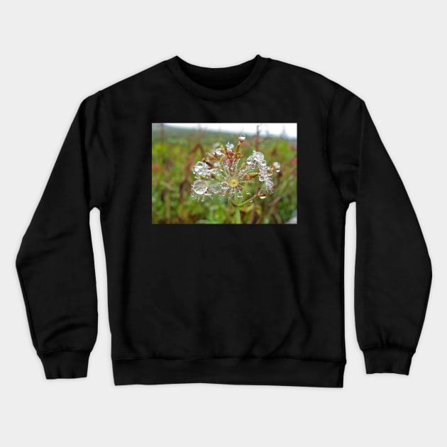 An Explosion of Dew Crewneck Sweatshirt by EileenMcVey